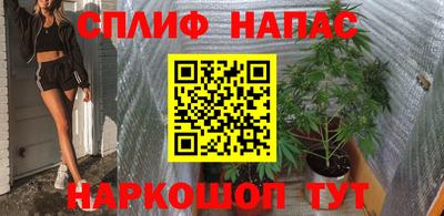 сатива Братск