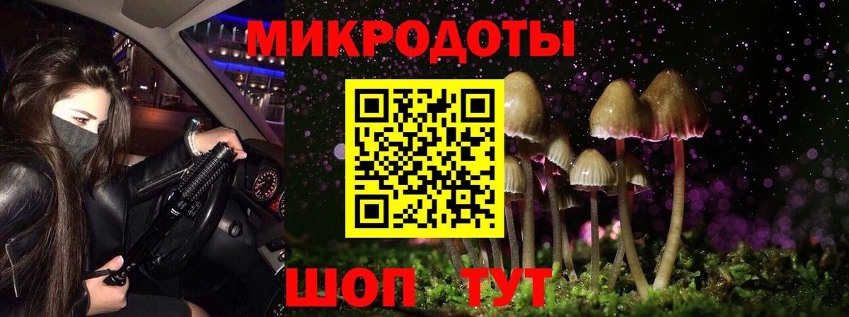 Псилоцибиновые грибы MAGIC MUSHROOMS Бор