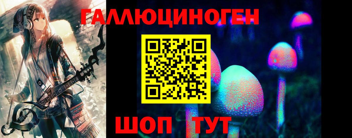 Бор  Псилоцибиновые грибы MAGIC MUSHROOMS  Вход с VPN 